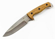 Цельный нож из металла Kizlyar Supreme Shark AUS-8 SW
